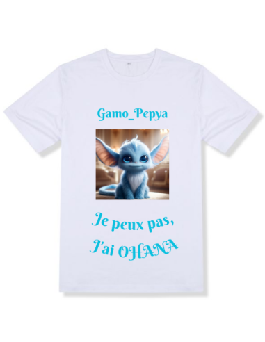 Tee-Shirts Officiels des Streamers Partenaires