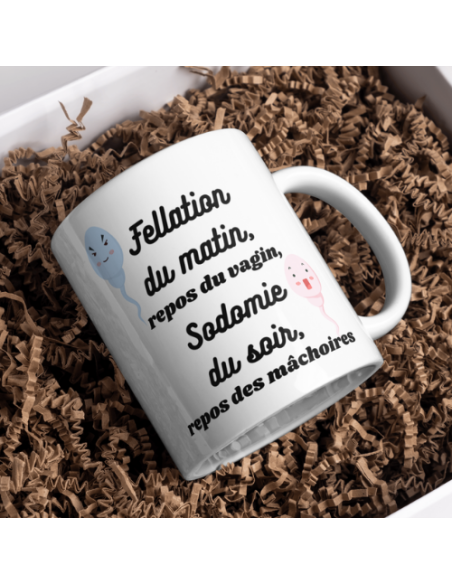 "Petit guide ludique du matin au soir"